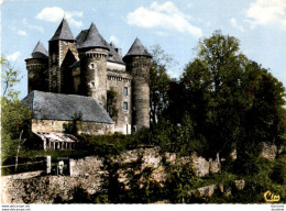 D12  LAGUIOLE  Château Du Bousquet - Laguiole