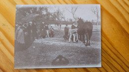 LES AISSES FERTE ST AUBIN 45 CHEVAL - PHOTO 8.5X6 CM - Old (before 1900)