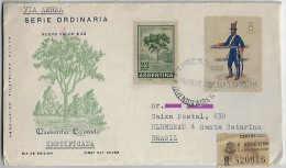 Argentina 1965 Registered Airmail Cover From Buenos Aires To Blumenau Brazil Stamp Uniform Tree - Lettres & Documents