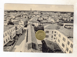 ADRIA  Panorama Viaggiata 1953 - Rovigo