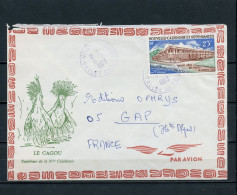 NOUVELLE CALEDONIE  LETTRE CAGOU OBL NOUMEA VALLEE DES COLONS - Brieven En Documenten