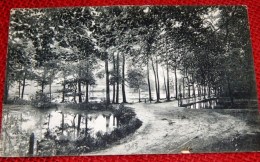 AUDERGHEM - OUDERGEM -  Vue Sur Les 3 étangs Du Rouge Cloître - 1913 - Auderghem - Oudergem