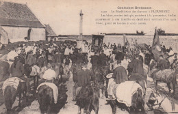 56 PLOUHINEC   La Benediction Des Chevaux  à Plouhinec .Les Bêtes Ornées De Tapis...  SUP PLAN 1921.  RARE - Plouhinec