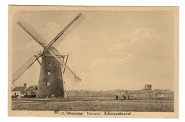 Montaigu   Scherpenheuvel   Panorama  MOLEN  MOULIN - Scherpenheuvel-Zichem