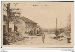 PALISEUL ..-- Route D ' OPONT . 1927 Vers BRAINE - LE - CHATEAU ( Melle Gisèle FORTEMPS ) . Voir Verso . - Paliseul