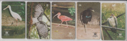 BRASIL 1999 BIRDS SPOONBILL HARPY EAGLE IBIS JACAMIM VULTURE 5 CARDS - Otros & Sin Clasificación