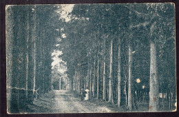 Uruguay - 1915 - Montevideo - Vista Del Prado - Uruguay