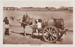 Yemen - Aden - Water Cart - Camel - Jemen