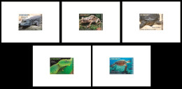 GUINEA GUINEE 2023 SET 5 DELUXE PROOFS - REPTILES FROGS TURTLES TURTLE CROCODILES SNAKES TORTUES SERPENTS - Kikkers