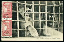 A67  MAROC CPA FEZ - MENAGERIE DU SULTAN , LE LION ET LA LIONNE - Collections & Lots