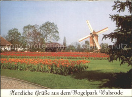 72114259 Walsrode Lueneburger Heide Volgelpark Tulpenbeet Muehle Walsrode Lueneb - Walsrode