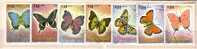 1986 Fauna  BUTTERFLY      7 V.- Used (O) NICARAGUA - Nicaragua