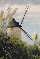 85 Le Moulin De Saint Esprit - Beauvoir Sur Mer