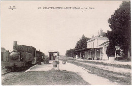 CHATEAUMEILLANT -18- La Gare -Train En Gare - D 1964 - Châteaumeillant