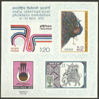 India INDIPEX - 73 1973 Miniature Sheet  Mint Good Condition Back Side Also (pms1) - Ungebraucht