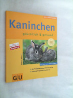 Kaninchen : Glücklich & Gesund - Animales