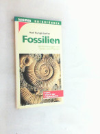 Fossilien : Versteinerungen Von Tieren Und Pflanzen ; Extra: Ablauf Der Erdgeschichte. - Sonstige & Ohne Zuordnung