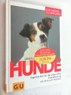 Hunde : Experten-Rat Für Die Hundehaltung Mit Herz Und Verstand ; Ulrich Klever Erklärt In Diesem GU-Ratgebe - Animaux