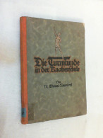 Die Turnstunde In Der Knabenschule : Ein Hilfsb. Zu D. Neuen Amtl. Lehrplänen Preußens F. D. Leibesübgn. - Andere & Zonder Classificatie