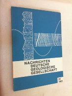 Nachrichten Deutsche Geologische Gesellschaft - Heft 24/1981 - Sonstige & Ohne Zuordnung