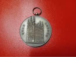 Une Médaille STAD LEUVEN - Fichas De Municipios