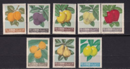 LIBAN MNH ** Poste Aerienne 1962 Fruits - Liban