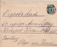 Russie Entier Postal 1893 - Entiers Postaux