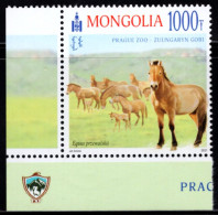 XK0257 Mongolia 2021 Endangered Animal Przewalski Mustang 1V MNH - Mongolie