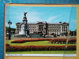 KOV 540-31 - LONDON, England,  - Buckingham Palace