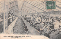 LORREZ-le-BOCAGE (Seine-et-Marne) - Château Du Comte De Ségur - Serre Des Gloxinias - Fleurs - Voyagé 1908 (2 Scans) - Lorrez Le Bocage Preaux