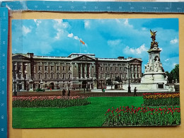 KOV 540-34 - LONDON, England, - Buckingham Palace