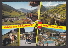 107451/ SAALBACH-HINTERGLEMM - Saalbach