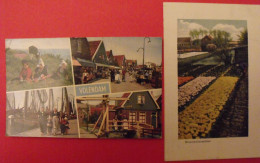 Lot De 2 Cartes Postales. Pays-Bas. Volendam Bloembollenvelden - Colecciones Y Lotes