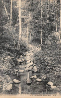 88 - SAINT-ETIENNE-DE-REMIREMONT - Sous Bois à La Cascade De MIRAUMONT - Saint Etienne De Remiremont