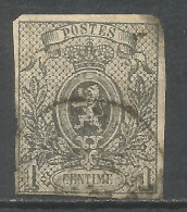 BELGICA YVERT NUM. 22 USADO - 1866-1867 Piccolo Leone