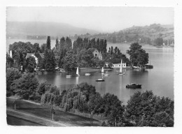 Hotel-Restaurant Glarisegg Am Untersee Um 1956 - Frauenfeld