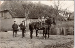 Familienfoto Mit Hof & Pferden (Vermutlich Aus Nieby , Süderbrarup) (1929) - Autres & Non Classés