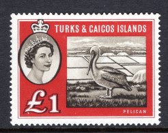 Turks & Caicos Islands 1960 QEII Pictorials - £1 Brown Pelican LHM (SG 253) - Turks And Caicos