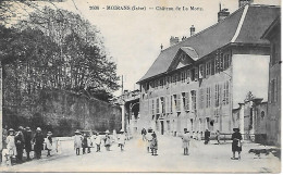 C/95           38   Moirans    -   Chateau De La Motte - Moirans