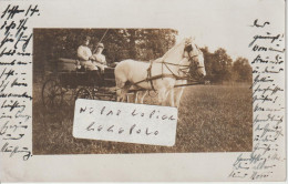 LEGNICA ( LIEGNITZ En Allemand ) - Un Bel Attelage En 1910 ( Carte Photo )  Rare - Polonia