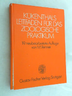 Kükenthals Leitfaden Für Das Zoologische Praktikum. - Natura