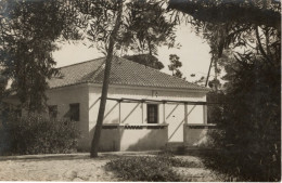 COSTA DA CAPARICA - Colonia De Férias Da F. N. A. T. - Aspecto De Um Dos Pavilhões - PORTUGAL - Setúbal