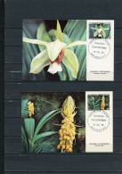 NOUVELLE CALEDONIE 2 CARTES MAXIMUM 520/521 ORCHIDEES - Maximum Cards