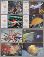 Lot 4 Cartele Colectia "Pești" , Romania, 2007 - Fische