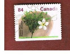 CANADA - SG 1475a - 1991 FRUIT TREES: STANLEY PLUM -  USED - Usados