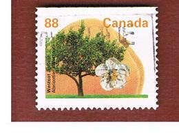 CANADA - SG 1477c  - 1994 FRUIT TREES: WESTCOT APRICOT -  USED - Usati