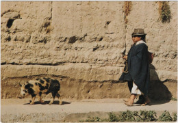 Returning From The Animal Market - Otavalo - Equateur