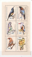 Tchad 2003, Birds, Kingfisher, Parrot, 6val In Block - Palmípedos Marinos