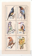 Tchad 2003, Birds, Kingfisher, Parrot, 6val In Block - Albatros