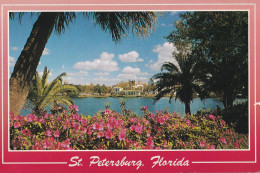 USA - St. Petersburg - Azaleas Beside Mirror Lake - St Petersburg